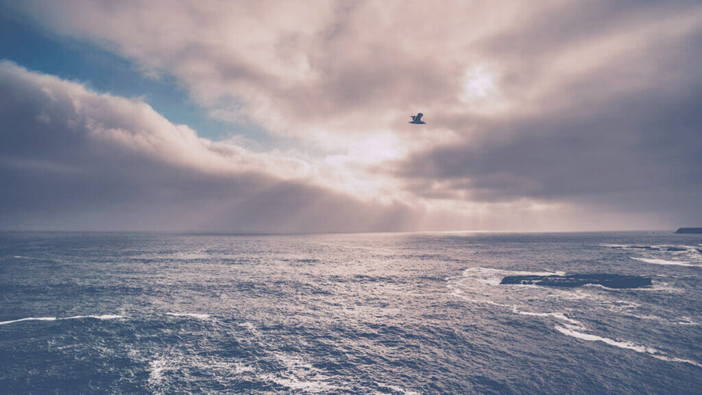 a bird flies over a blue ocean with sun peeking through the clouds grace