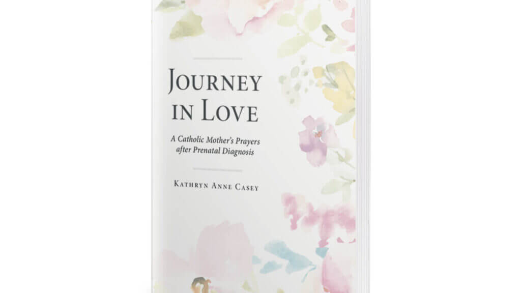 image of Kathryn Anne Casey's book titled Journey in Love