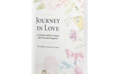 An Excerpt from Kathryn Anne Casey’s Book, “Journey In love”