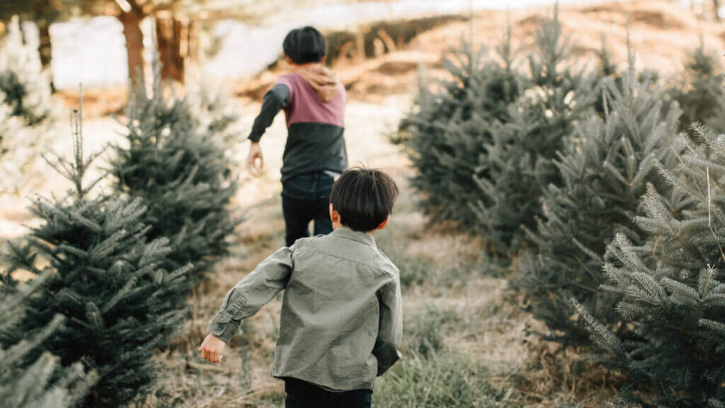 two children run through lines of small trees principles of happiness