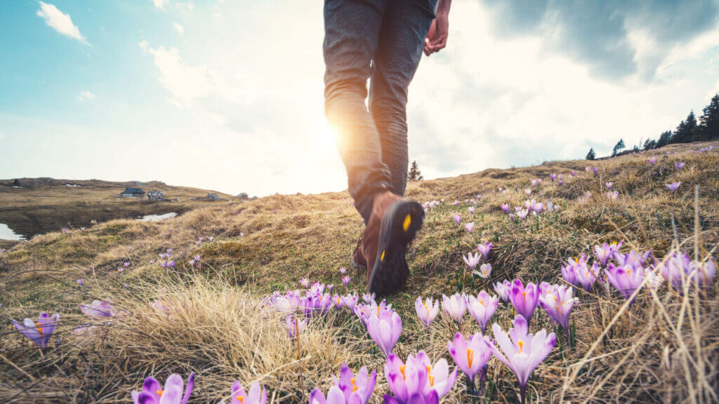 man hiking through a green meadow with purple flowers emotional healing