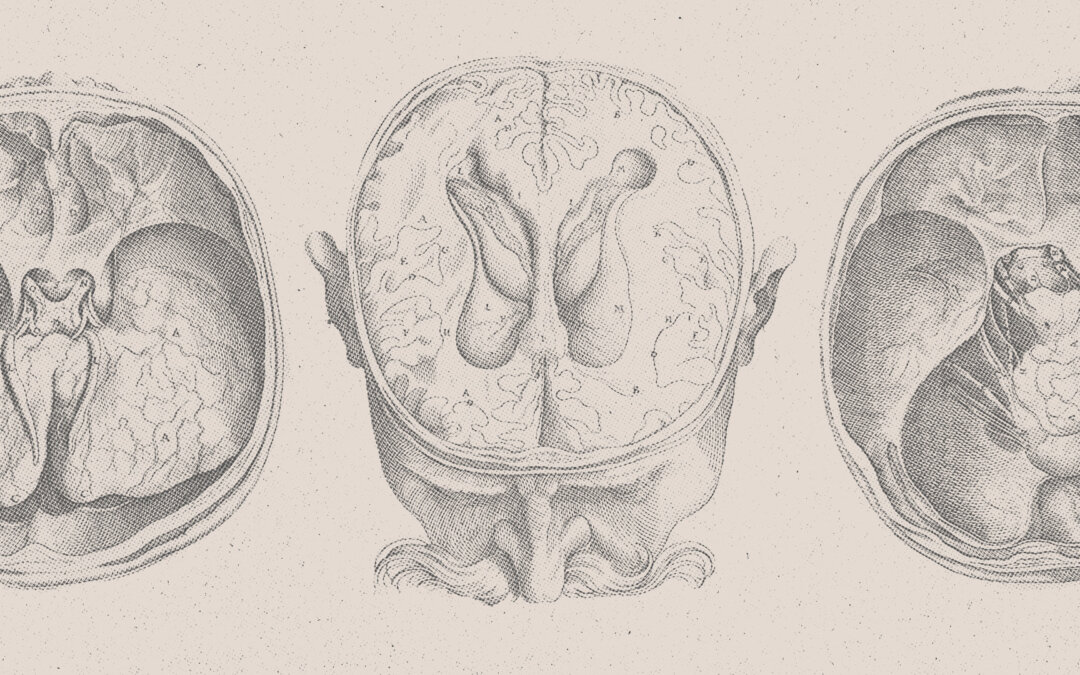Inside the ADHD Brain — The Science Behind the Struggle