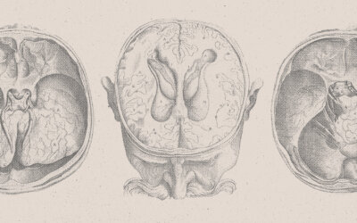 Inside the ADHD Brain — The Science Behind the Struggle